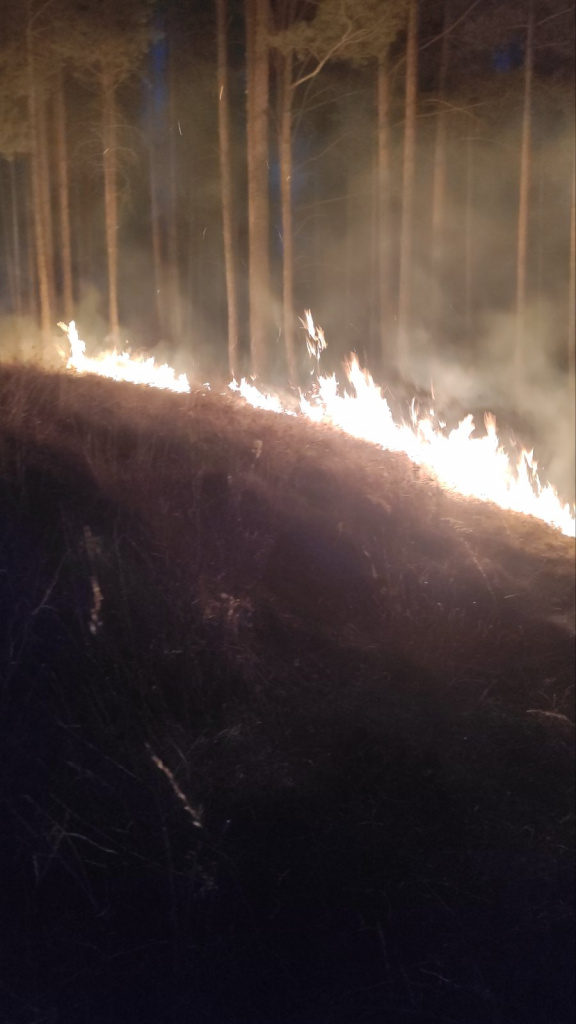 Лесной пожар п. Иннокентьевский.jpg